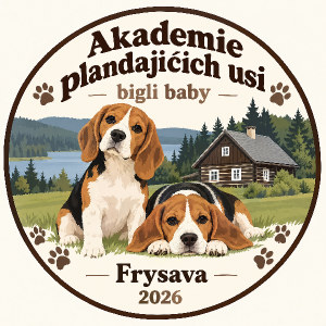 Akademie plandajicich usi, bigli baby, Frysava 2026
Na obrazku bude par biglu s chaloupkou, mozna kolem tlapicky