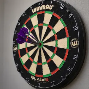 šipkařský terč winmau se třemi fialovými šipkami ve středu terče. otoč tento terč lehce do prava