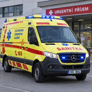 Sanitka