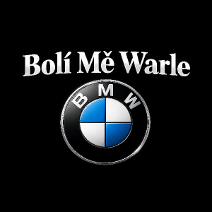 chci tam logo značky BMW a nad ním název Bolí Mě Warle