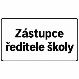 Text: Zástupce ředitele školy