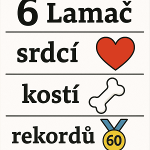 Popis obrázku