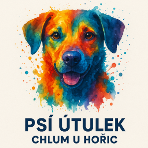 Popis obrázku