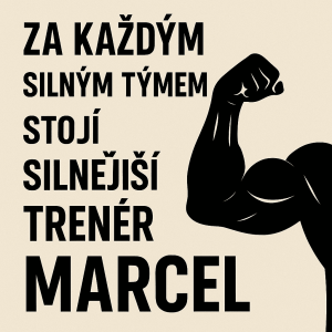 Popis obrázku