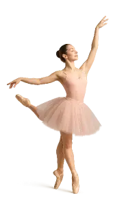 Popis obrázku