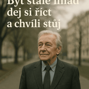 Popis obrázku