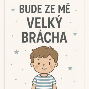 Popis obrázku