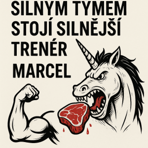 Popis obrázku