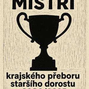 Popis obrázku