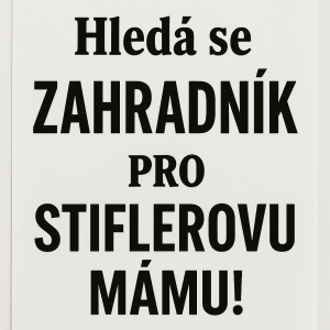 Popis obrázku