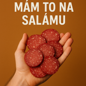 Popis obrázku