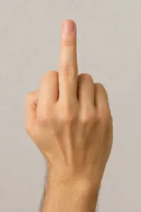 Popis obrázku