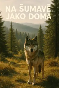 Popis obrázku