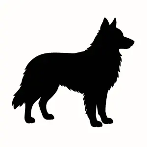 Popis obrázku