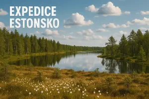 Popis obrázku
