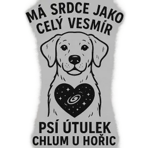 Popis obrázku