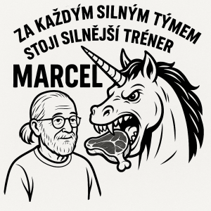 Popis obrázku