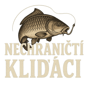Popis obrázku