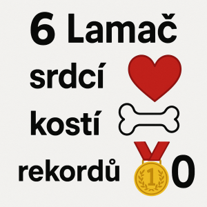 Popis obrázku