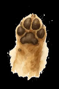 Popis obrázku