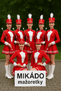 Popis obrázku