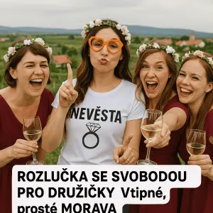Popis obrázku