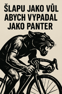 Popis obrázku
