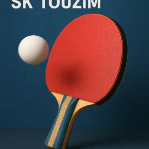Popis obrázku