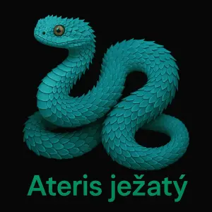Popis obrázku