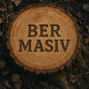Popis obrázku