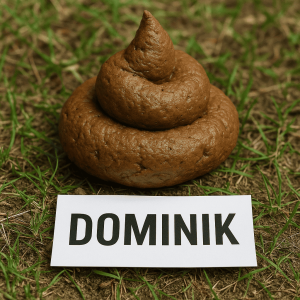 Popis obrázku