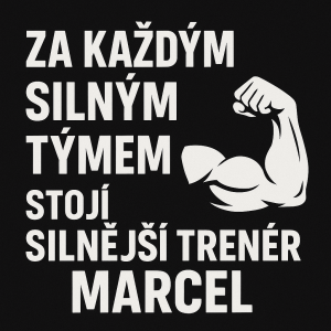 Popis obrázku