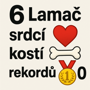 Popis obrázku