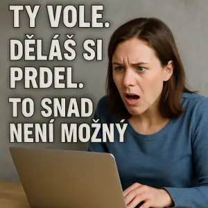 Popis obrázku