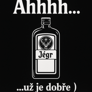 Popis obrázku
