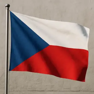 Popis obrázku
