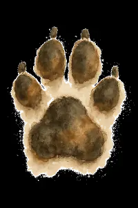Popis obrázku