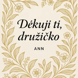 Popis obrázku