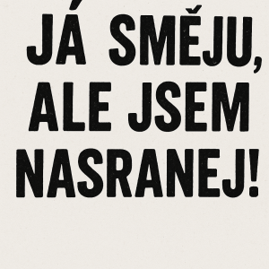 Popis obrázku