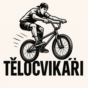 Popis obrázku
