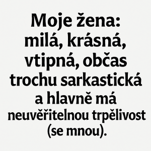 Popis obrázku