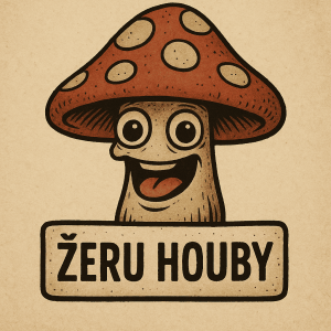 Popis obrázku