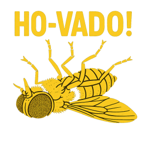 Popis obrázku