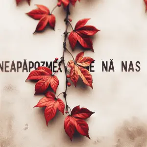 Popis obrázku