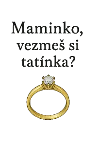 Popis obrázku