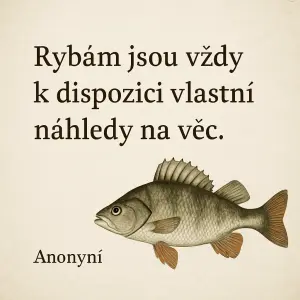 Popis obrázku
