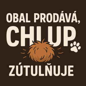 Popis obrázku