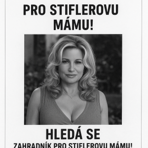 Popis obrázku